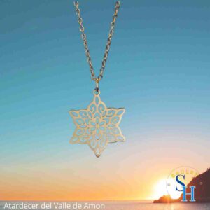 Collar Estrella de David Pétalos de Flor